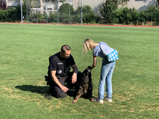 Polizeihunde sind speziell ausgebildet, aber trotzdem umgänglich