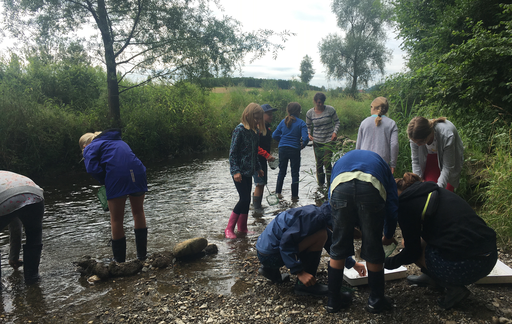 Als Biolog*in Kleintiere im Bach entdecken